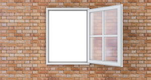 single window