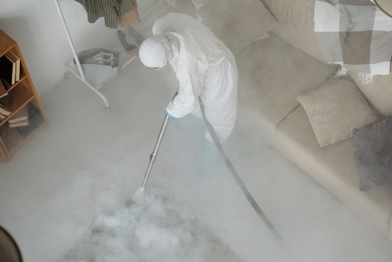 smoke 